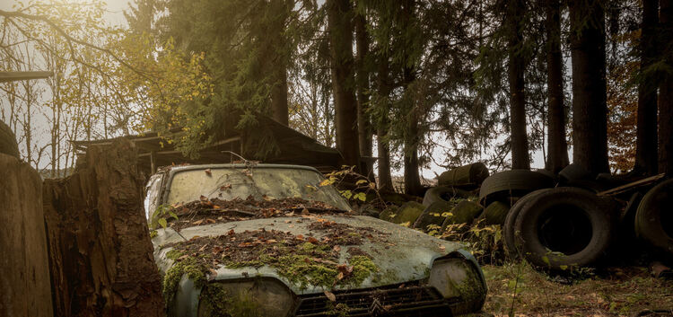 Längst ausgedient haben die Autos, die Weiler in einem Wald neben einer früheren Kfz-Werkstatt entdeckt hat. Fotos: Tobias Weile