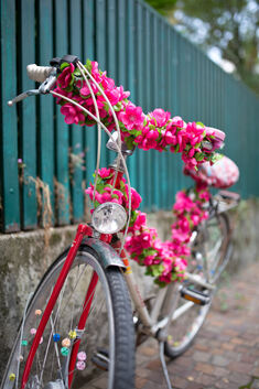 Fahrrad Schmuckbild Blumen