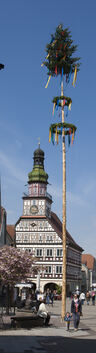 Im Wonnemonat gehört der Maibaum zum Stadtbild in Kirchheim. Er ist beliebtes Fotomotiv und wird dieses Jahr wieder mit Zunftzei